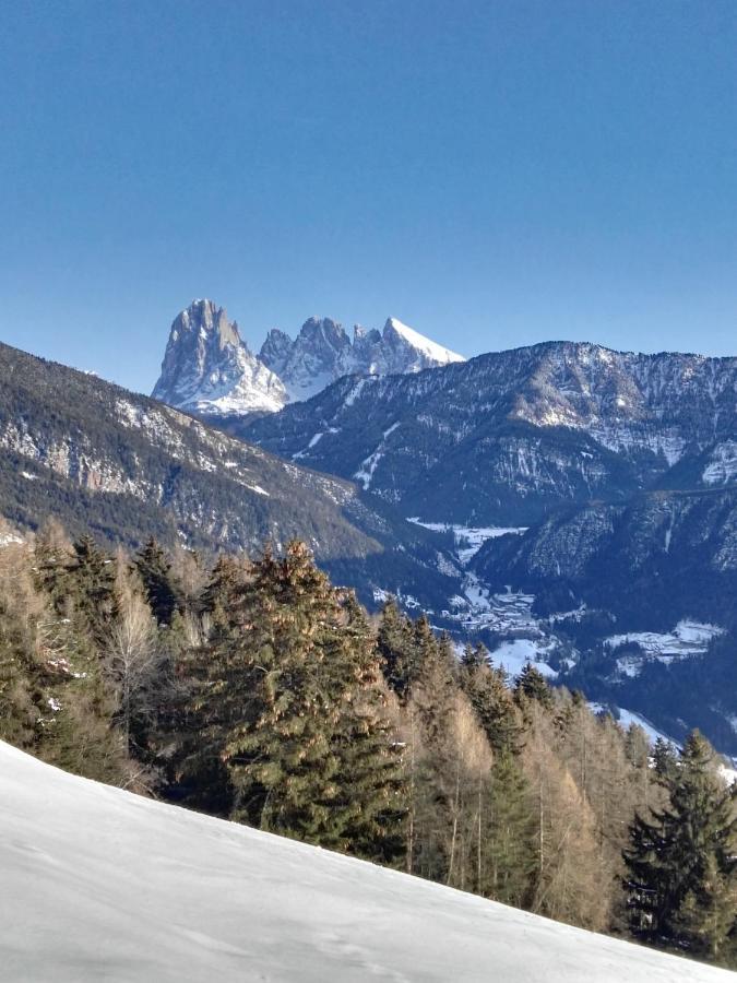 Alpine Chalet Aurora Dolomites Laion Bagian luar foto