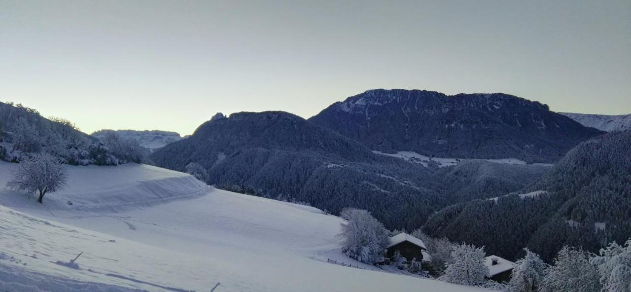 Alpine Chalet Aurora Dolomites Laion Bagian luar foto